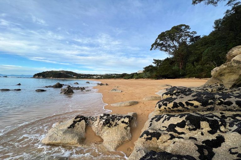 Photo of property in 30 Kotare Place, Kaiteriteri, Motueka, 7197