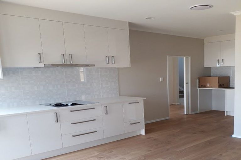 Photo of property in 13 Casheltown Way, Flat Bush, Auckland, 2019