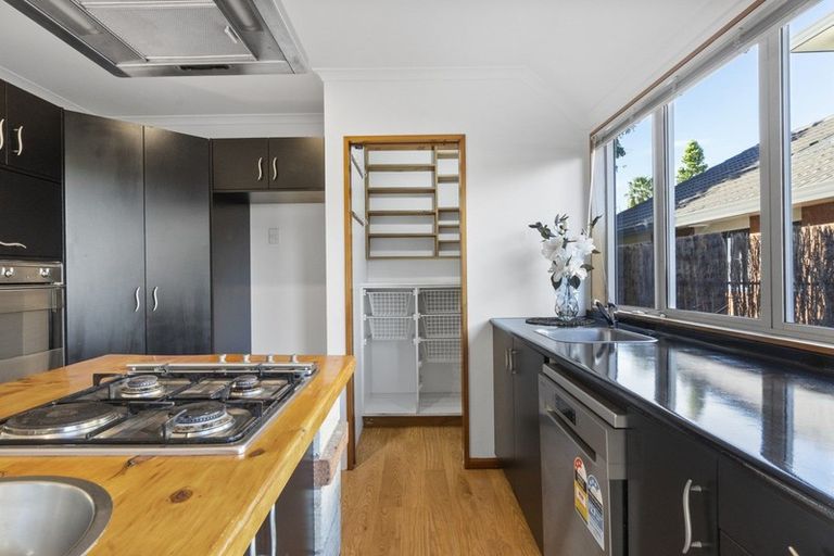 Photo of property in 15 Stella Place, Chartwell, Hamilton, 3210