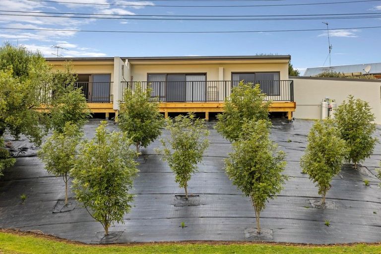 Photo of property in 4b Scott Street, Gate Pa, Tauranga, 3112