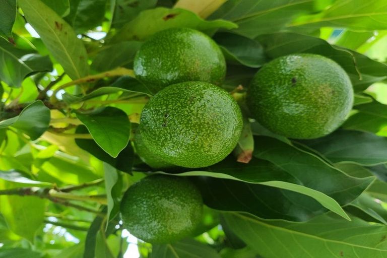 Photo of property in 143 Torquay Street, Kaikoura, 7300