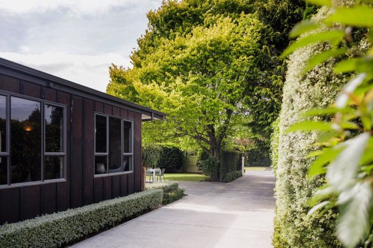 Photo of property in 8 Bailey Avenue, Claudelands, Hamilton, 3214