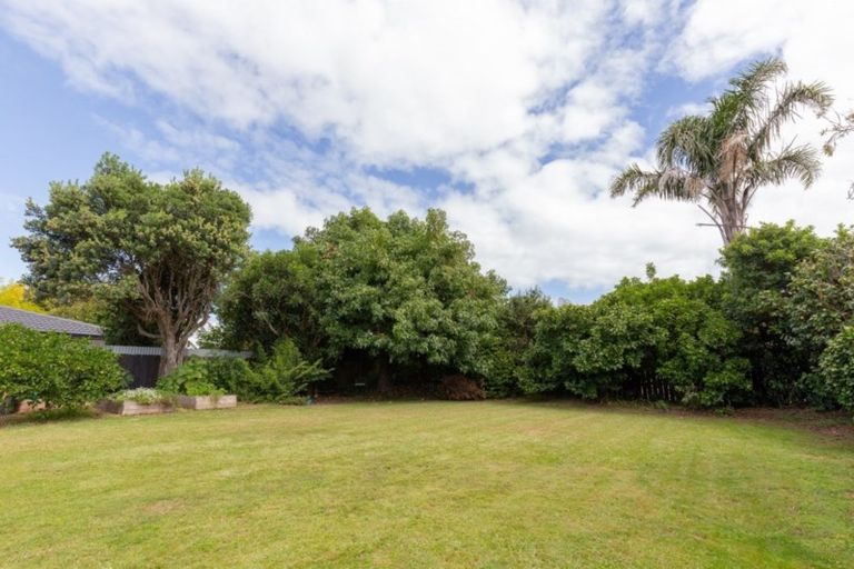 Photo of property in 11 Sunrise Avenue, Mount Maunganui, 3116