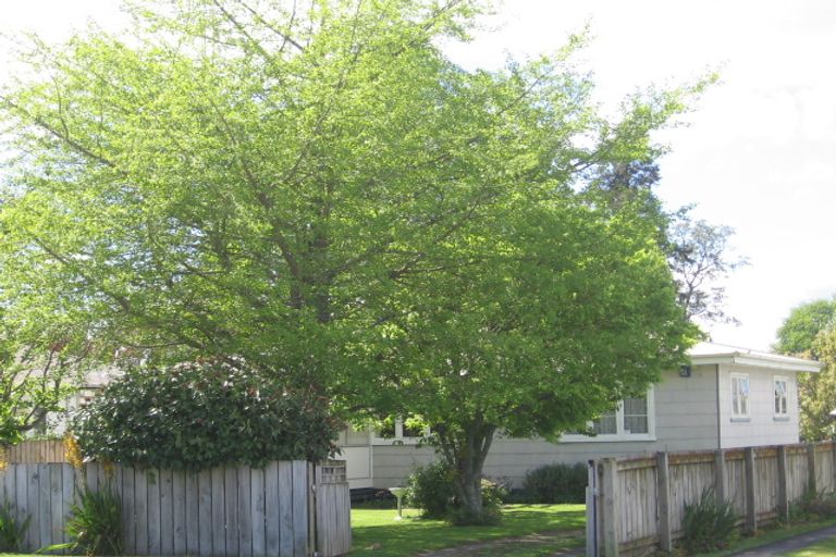 Photo of property in 56 Smith Street, Matamata, 3400