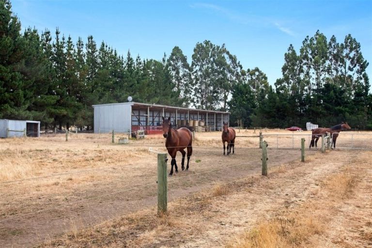 Photo of property in 60 Eyredale Road, Eyrewell, Rangiora, 7476