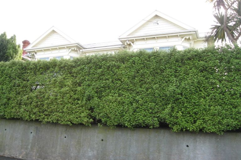 Photo of property in 11 Kilgour Street, Roslyn, Dunedin, 9010