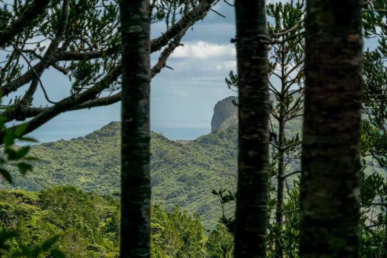 Photo of property in 22 Waikarekare Lane, Karekare, Auckland, 0772