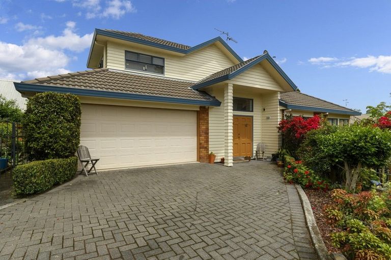 Photo of property in 161c Fraser Street, Tauranga South, Tauranga, 3112