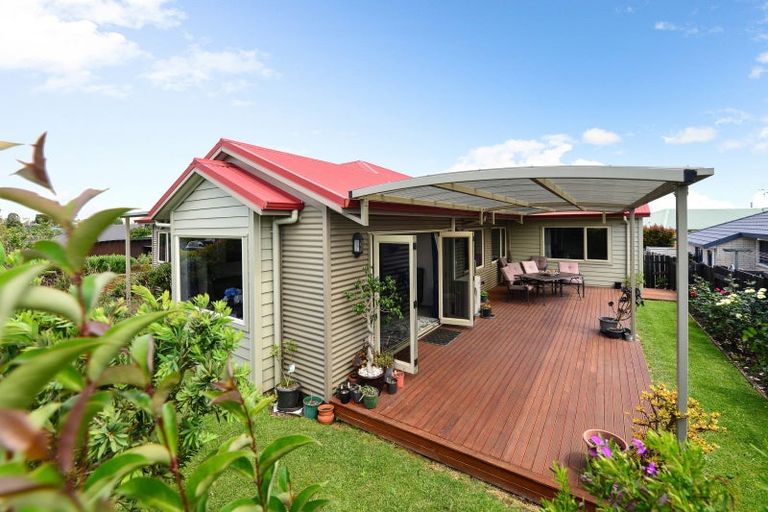 Photo of property in 55 Brymer Road, Grandview Heights, Hamilton, 3200