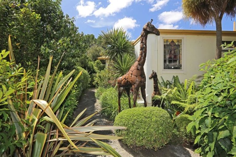 Photo of property in 23 Mchardy Street, Havelock North, 4130