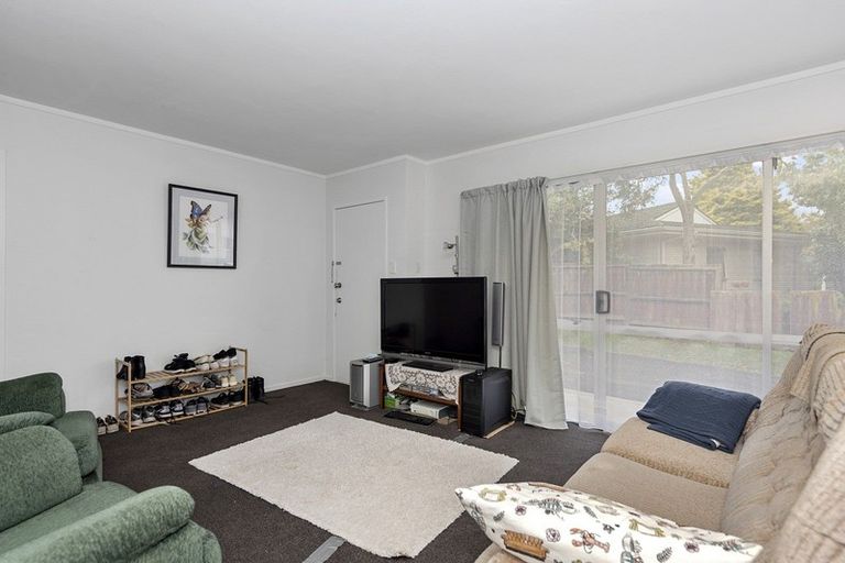 Photo of property in 50a Alison Street, Hamilton Lake, Hamilton, 3204