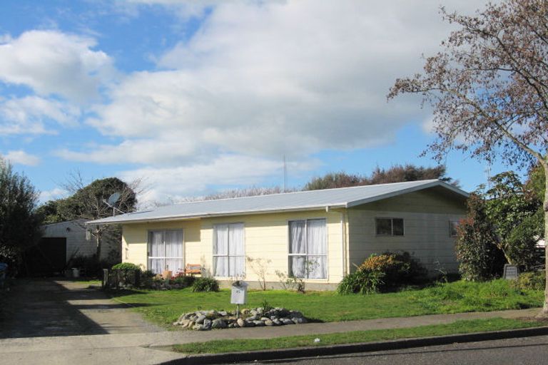 Photo of property in 15 Stirling Street, Levin, 5510