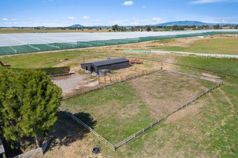 Photo of property in 303 Parallel Road, Ohaupo, Cambridge, 3495