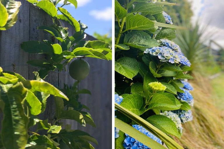 Photo of property in 8a Macdonald Road, Glenview, Hamilton, 3206