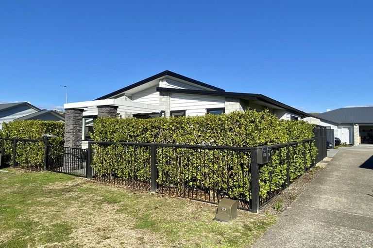 Photo of property in 16 Foley Grove, Pyes Pa, Tauranga, 3110
