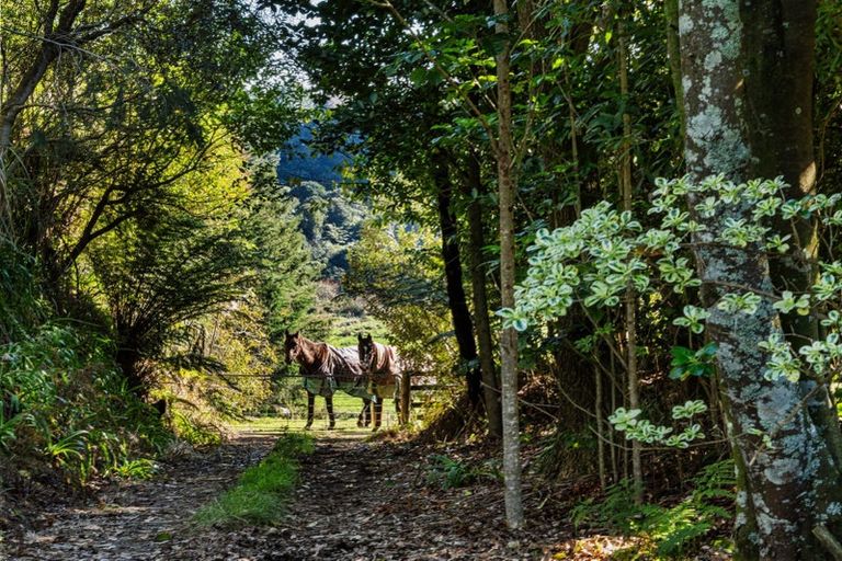 Photo of property in 108 Wairoa Road, Minden, Tauranga, 3171