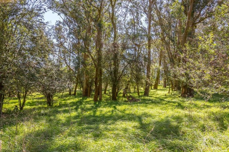 Photo of property in 357a Kahutara Road, Kahutara, 5771