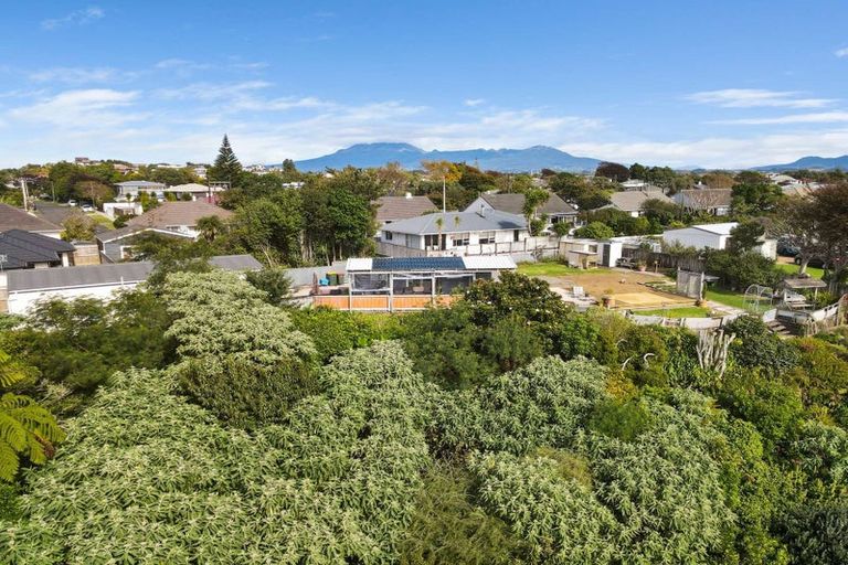 Photo of property in 21a Karaka Street, Merrilands, New Plymouth, 4312