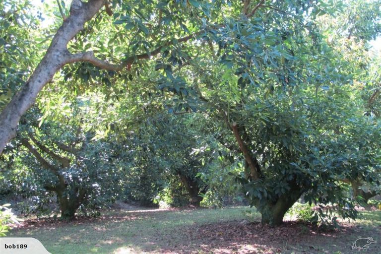 Photo of property in 6a Woodland Road, Tahawai, Katikati, 3170