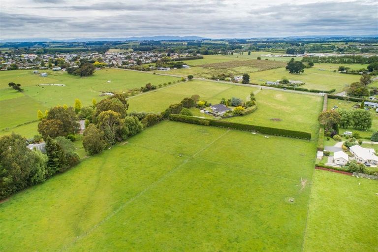 Photo of property in 130 Parewanui Road, Bulls, 4894