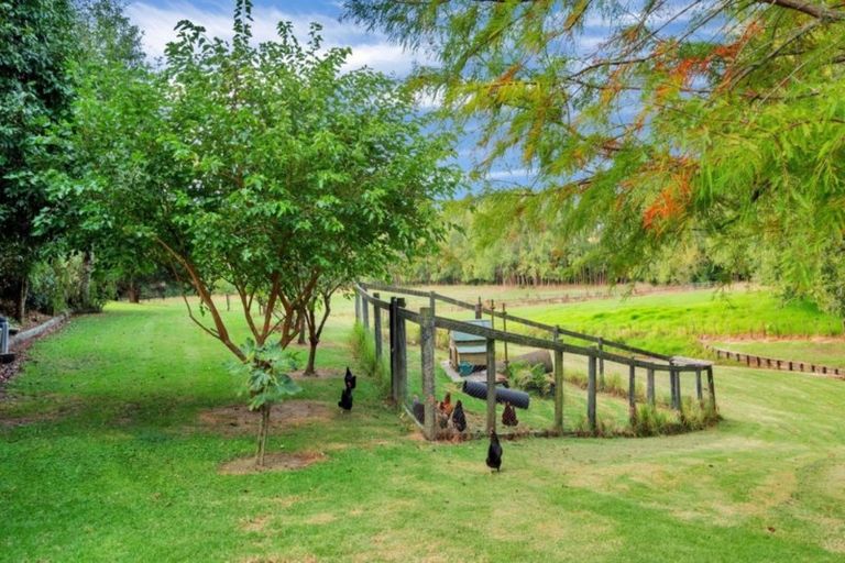 Photo of property in 6 Lewis Lane, Coatesville, Albany, 0793