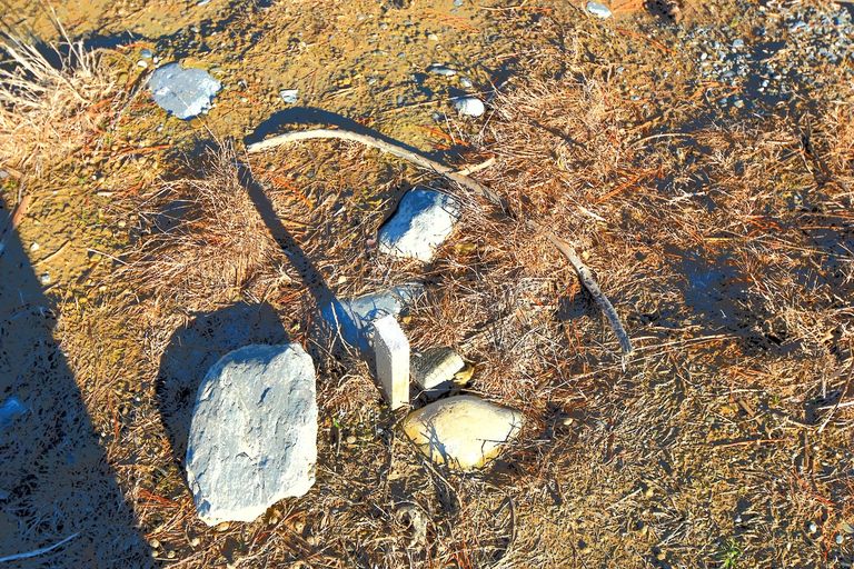 Photo of property in 80 Ohau Drive, Lake Ohau, Twizel, 9412