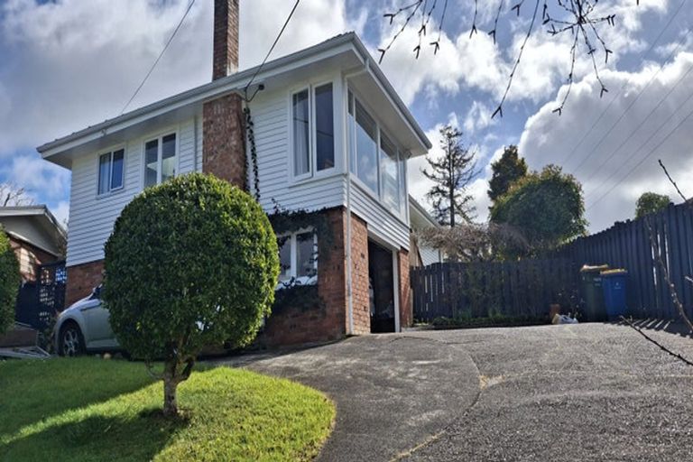 Photo of property in 117 Tiroroa Avenue, Te Atatu South, Auckland, 0610