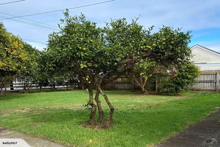 Photo of property in 16 Kakapo Place, Papatoetoe, Auckland, 2025