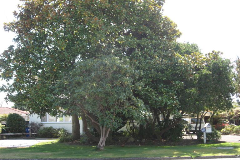 Photo of property in 31 Holland Street, Glenholme, Rotorua, 3010