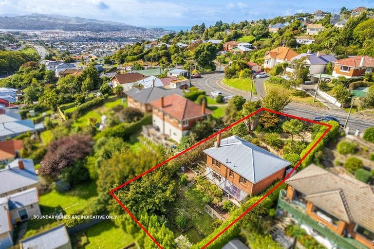 Photo of property in 518 South Road, Calton Hill, Dunedin, 9012