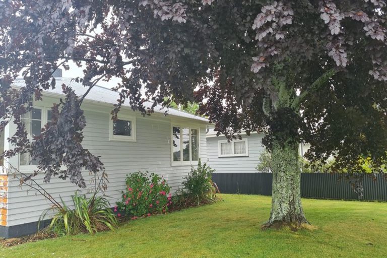 Photo of property in 56 Fergusson Street, Solway, Masterton, 5810