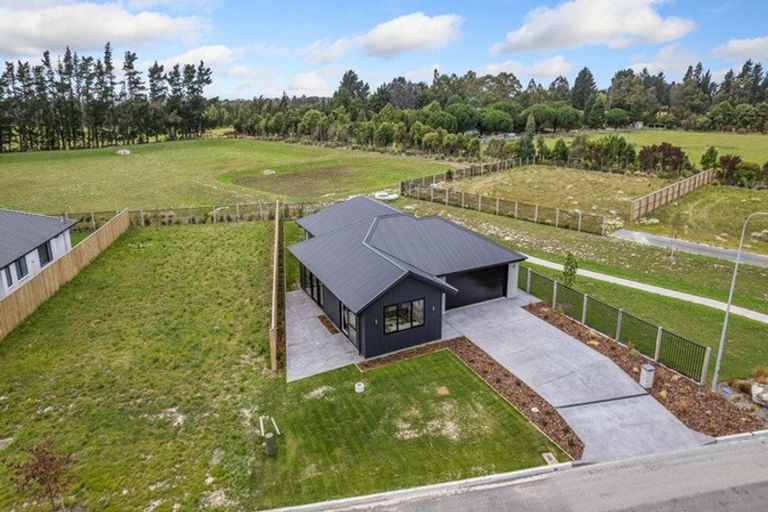 Photo of property in 49 Greig Crescent, Amberley, 7481