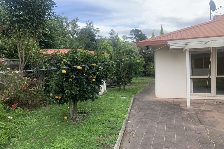 Photo of property in 40 Kingsgate Avenue, Havelock North, 4130