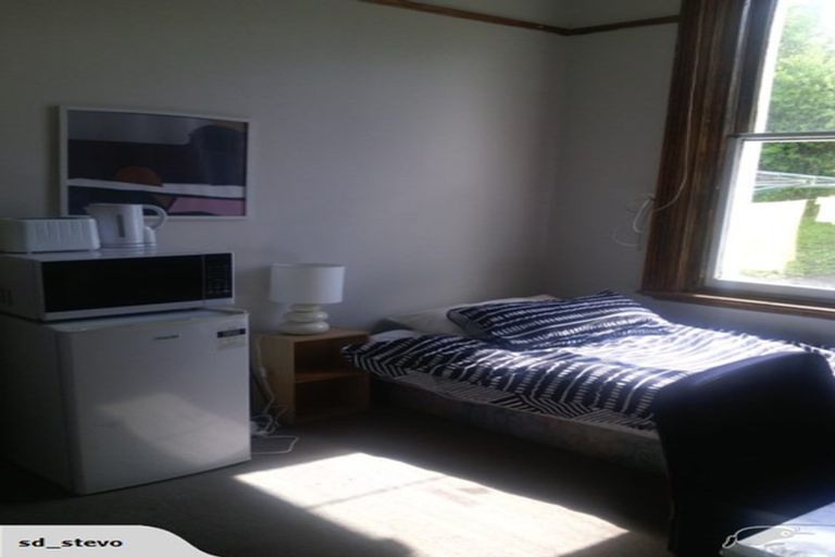 Photo of property in 390 Stuart Street, Roslyn, Dunedin, 9010