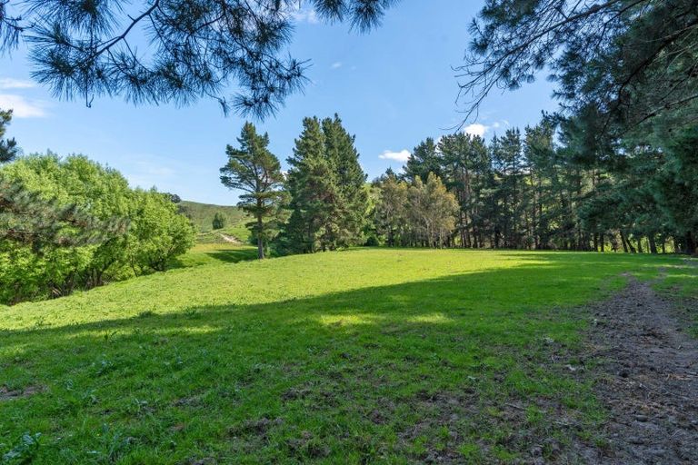 Photo of property in 839 Whangaehu Valley Road, Whangaehu Valley, Masterton, 5886