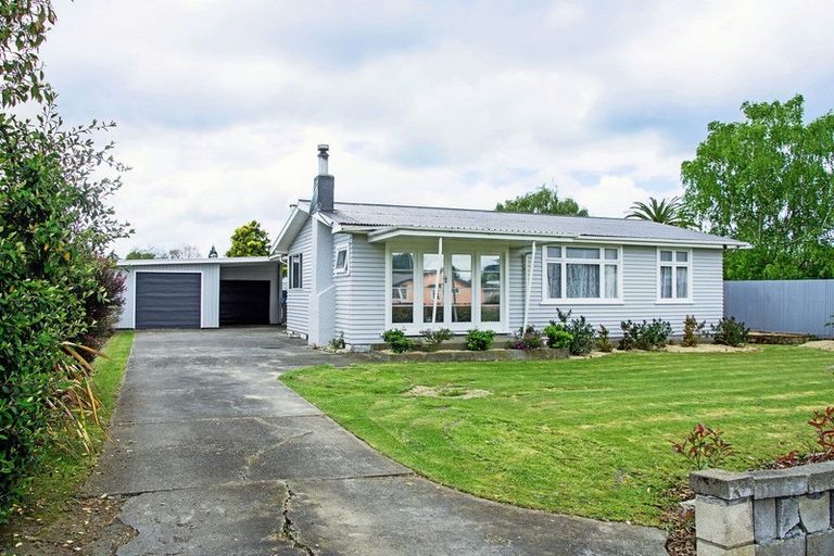 Photo of property in 101 Cockburn Street, Kuripuni, Masterton, 5810