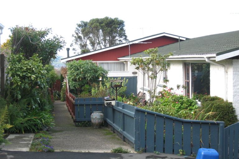 Photo of property in 17b Bruce Street, Roslyn, Dunedin, 9011