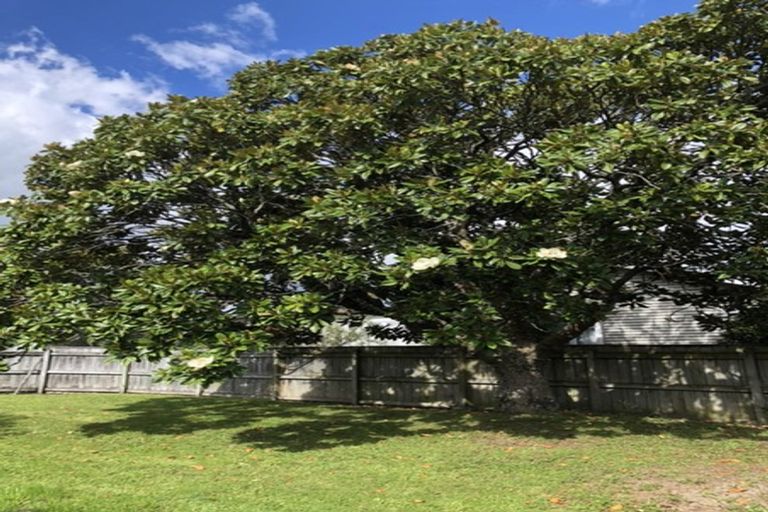 Photo of property in 122 Upper Plain Road, Masterton, 5810