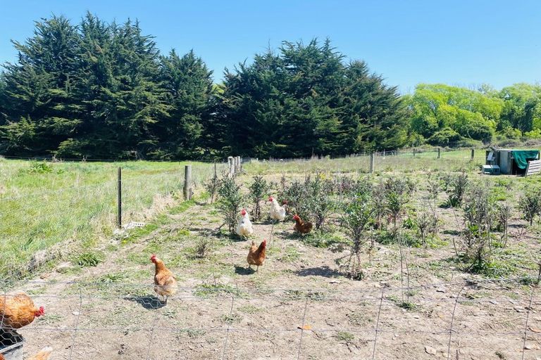 Photo of property in 149 Loburn Whiterock Road, Loburn, Rangiora, 7472