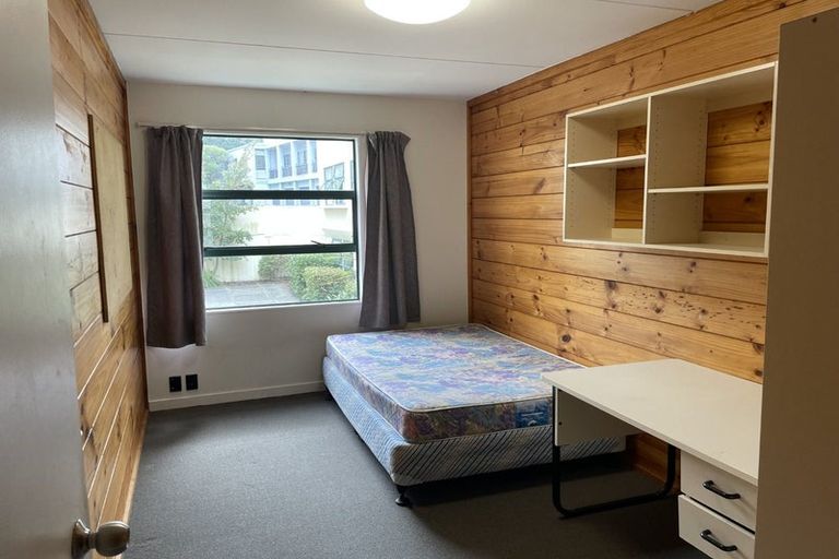 Photo of property in Te Awhina Apartments, 27/22 Sussex Street, Mount Cook, Wellington, 6021