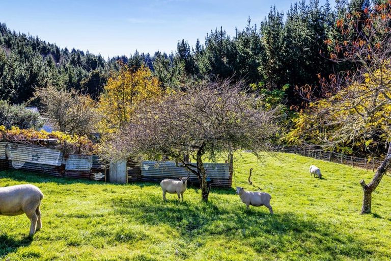 Photo of property in 749 Motukawa Road, Tarata, Inglewood, 4387