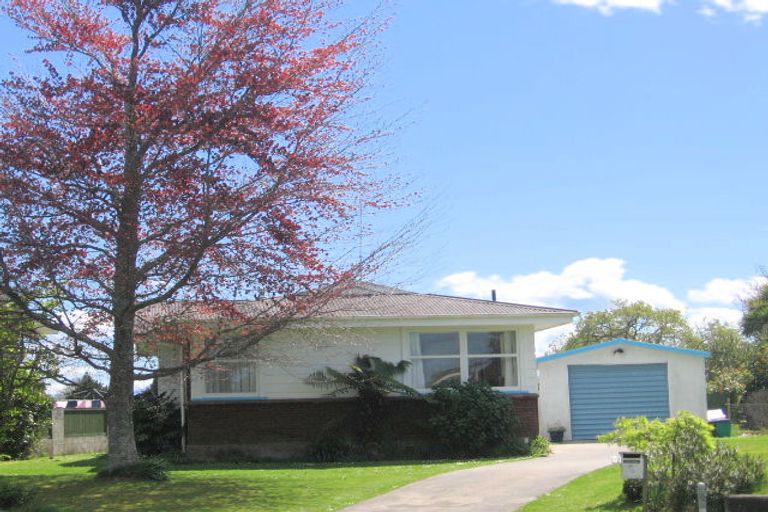 Photo of property in 3 Sheffield Street, Matamata, 3400