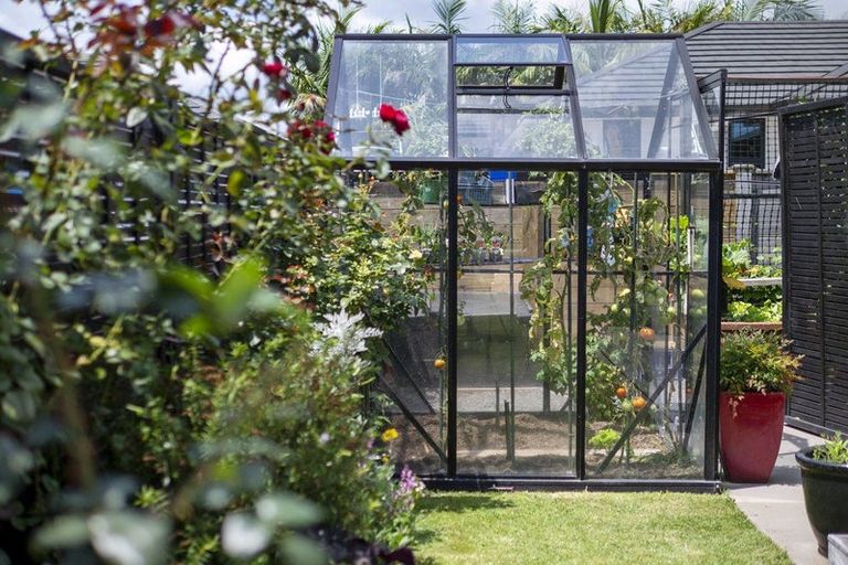 Photo of property in 9 Augusta Rise, Omokoroa, 3114