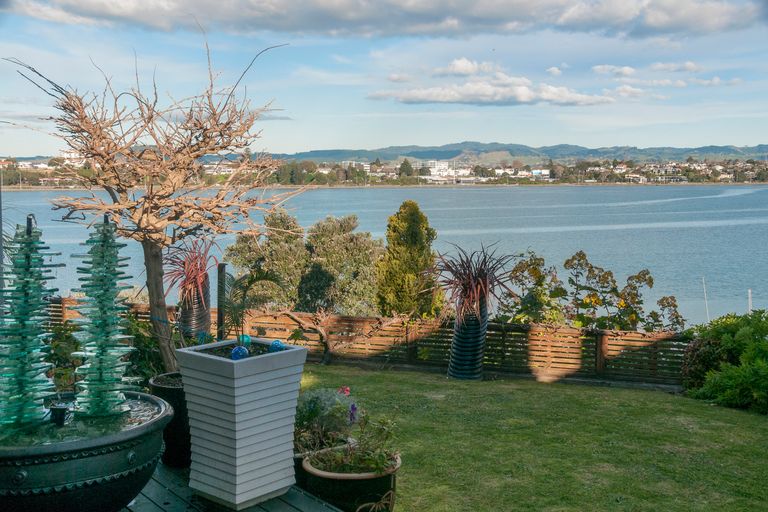 Photo of property in 19 Roderick Street, Otumoetai, Tauranga, 3110