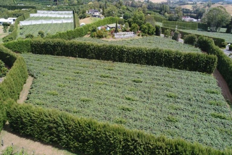 Photo of property in 78 Plummers Point Road, Whakamarama, Tauranga, 3172