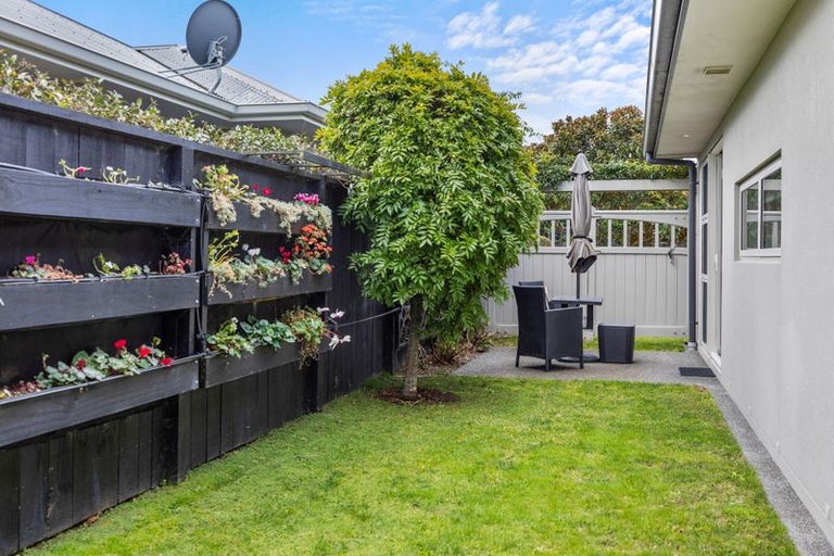 Photo of property in 87 Carmichael Road, Bethlehem, Tauranga, 3110