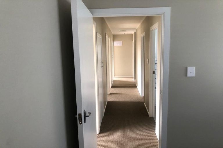 Photo of property in 117 Manuka Road, Bayview, Auckland, 0629