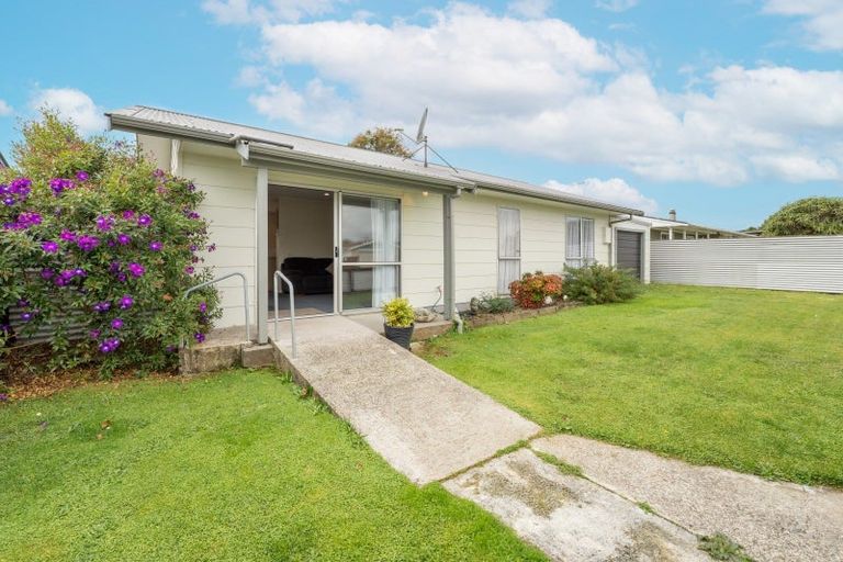 Photo of property in 101 Ryder Crescent, Levin, 5510