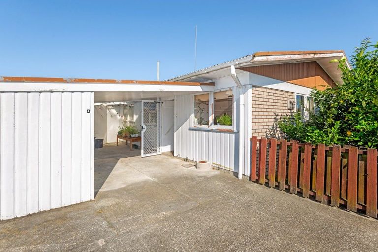 Photo of property in 318a Ormond Road, Mangapapa, Gisborne, 4010