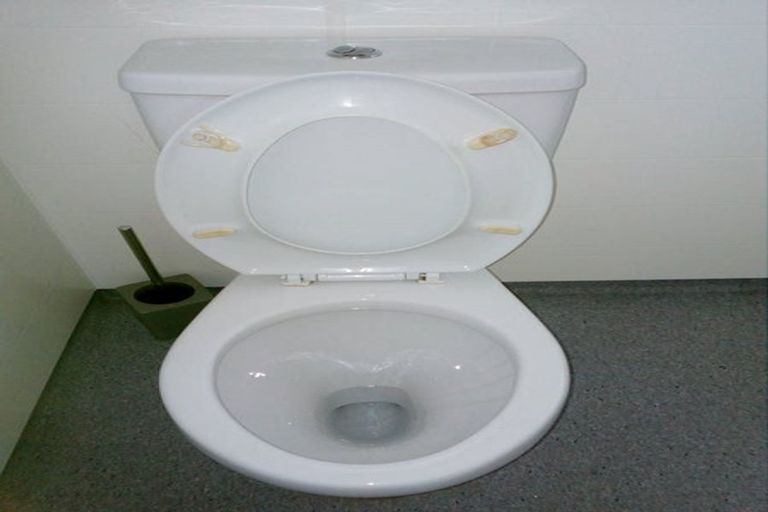 Photo of property in 3 Rimu Street, Matamata, 3400